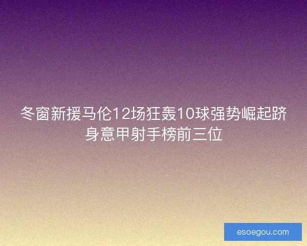冬窗新援马伦12场狂轰10球强势崛起跻身意甲射手榜前三位